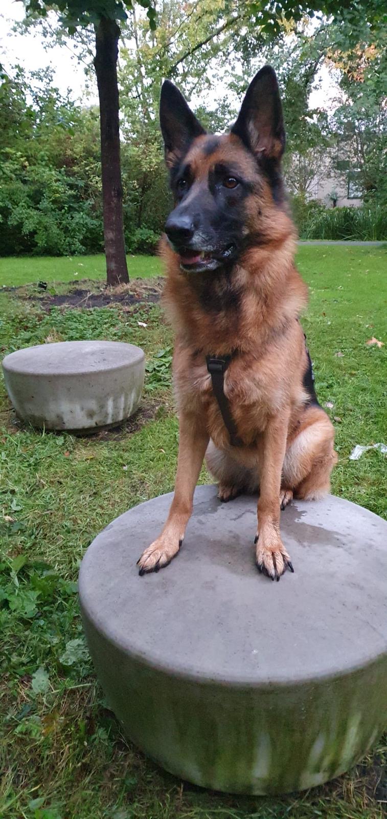 4A269656 D44e 4Eef A1e5 486805A3cdf8